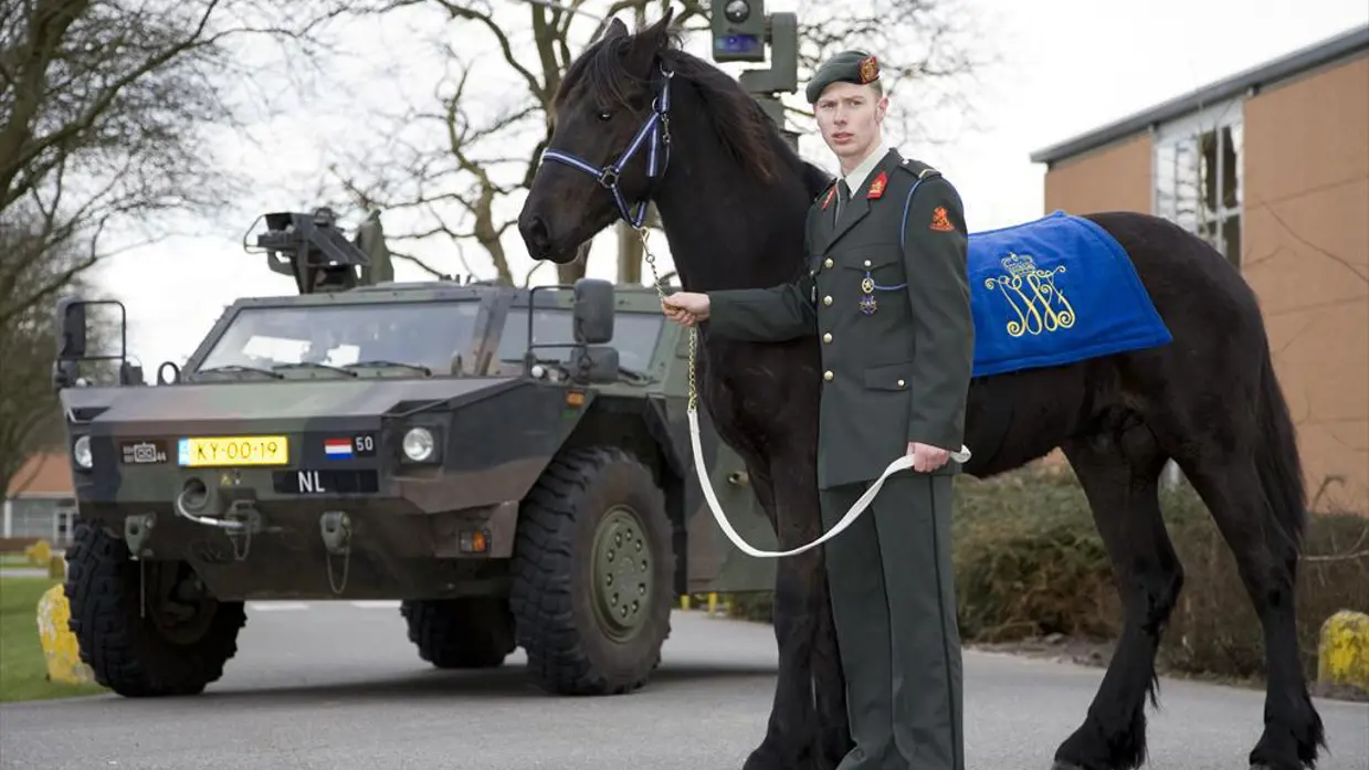 Militair met zwart paard en pantservoertuig op de achtergrond.