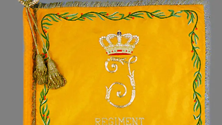 Vaandel Regiment Geneeskundige Troepen voorkant.