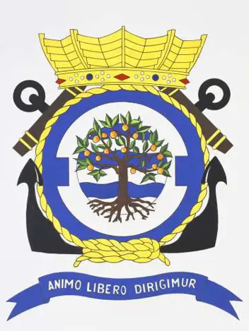 Embleem Vliegtuigsquadron 320