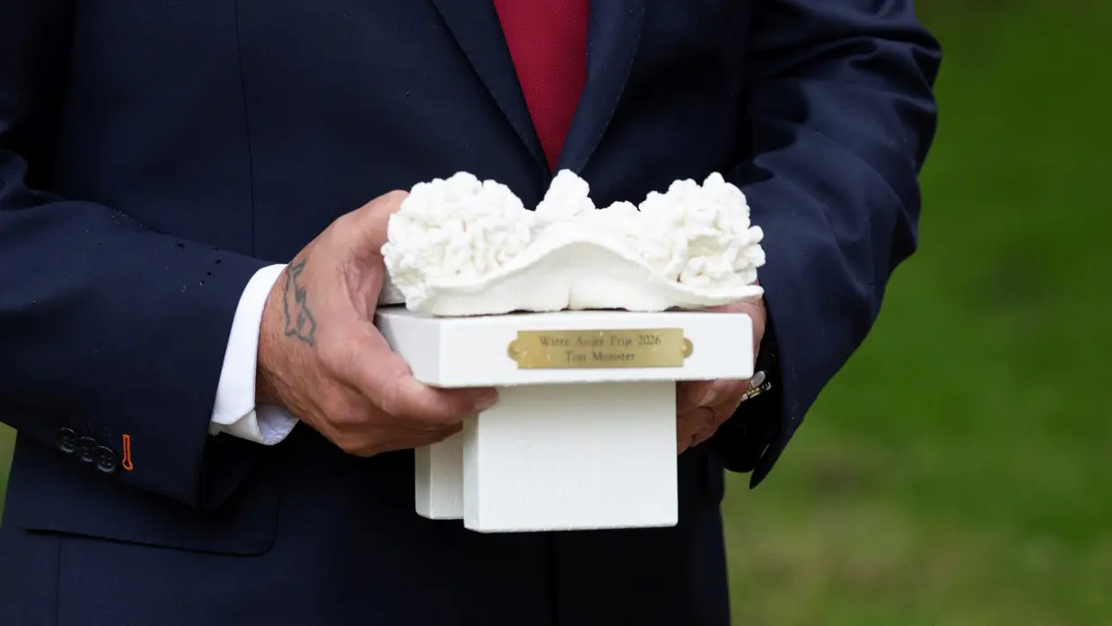 Een porseleinen beeld van een witte anjer.